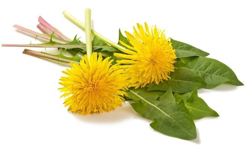 NEOflorax съдържа глухарче